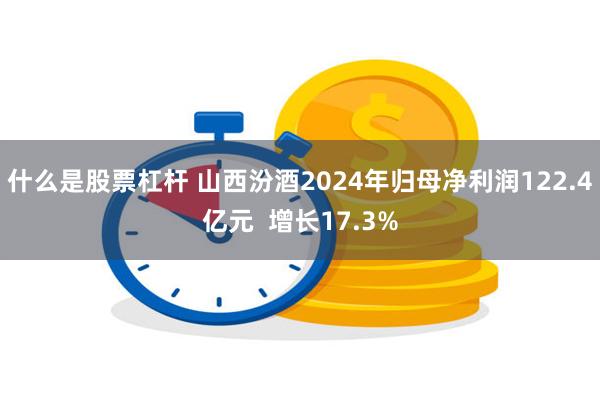 什么是股票杠杆 山西汾酒2024年归母净利润122.4亿元  增长17.3%
