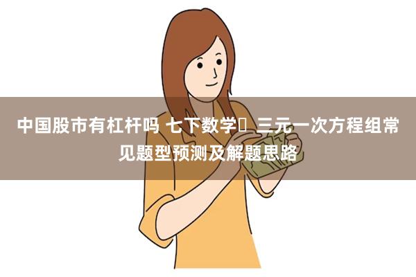 中国股市有杠杆吗 七下数学️三元一次方程组常见题型预测及解题思路