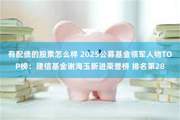 有配债的股票怎么样 2025公募基金领军人物TOP榜：建信基金谢海玉新进荣誉榜 排名第28