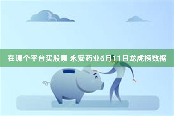 在哪个平台买股票 永安药业6月11日龙虎榜数据