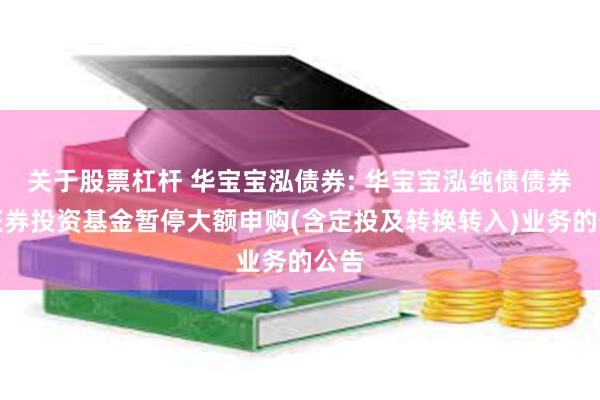 关于股票杠杆 华宝宝泓债券: 华宝宝泓纯债债券型证券投资基金暂停大额申购(含定投及转换转入)业务的公告