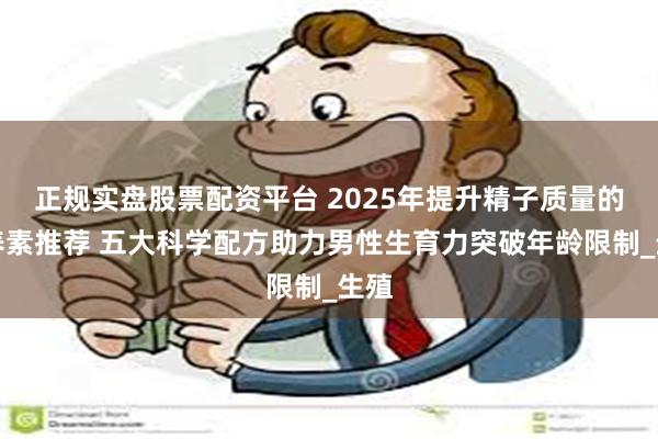正规实盘股票配资平台 2025年提升精子质量的营养素推荐 五大科学配方助力男性生育力突破年龄限制_生殖