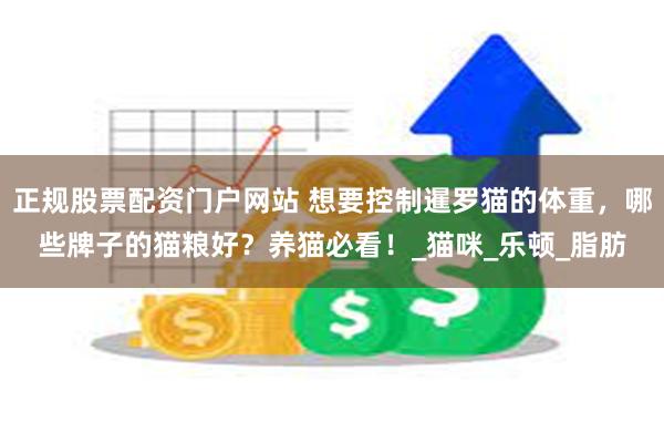正规股票配资门户网站 想要控制暹罗猫的体重，哪些牌子的猫粮好？养猫必看！_猫咪_乐顿_脂肪